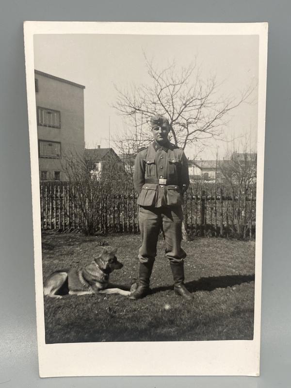 Waffen SS Man with Dog Postcard Size Photograph