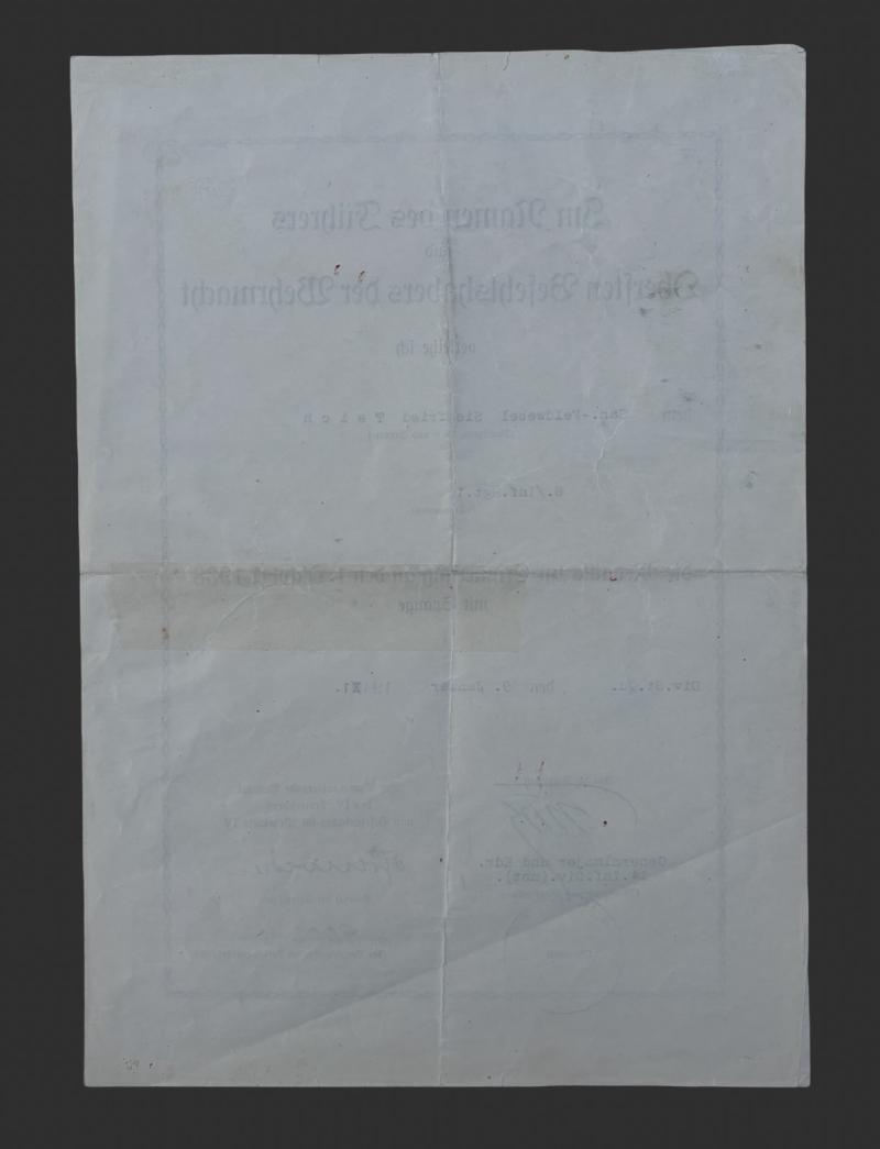 1.Oktober 1938 Medal & Citation San.Feldwebel Siegfried Teich Inf.Rgt.10/ 14th Motorised Infantry Division