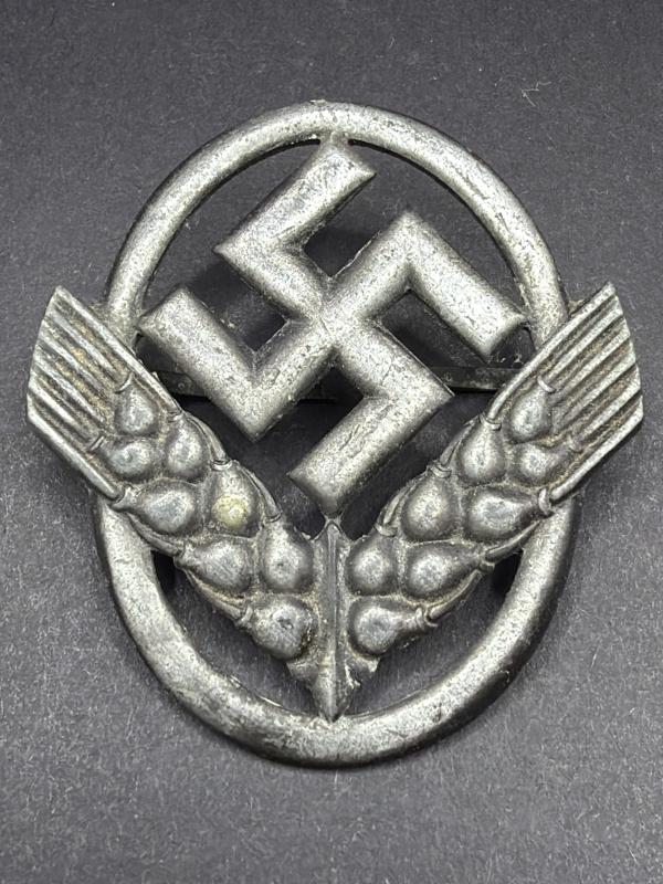 Female RAD Zinc Cap Badge
